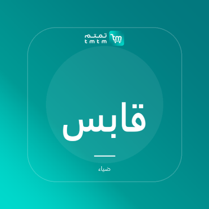 صورة قابس ذكي - قطعتان