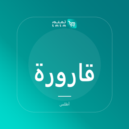 صورة قارورة ستانلس معزولة - 750 مل
